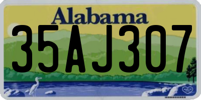 AL license plate 35AJ307