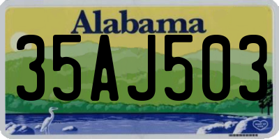 AL license plate 35AJ503