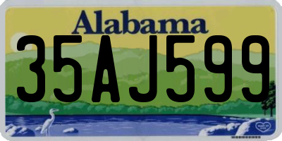 AL license plate 35AJ599