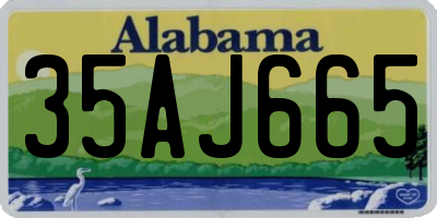 AL license plate 35AJ665