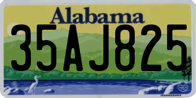AL license plate 35AJ825