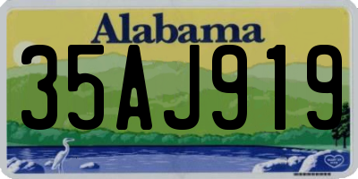AL license plate 35AJ919
