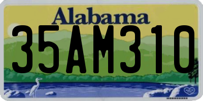 AL license plate 35AM310