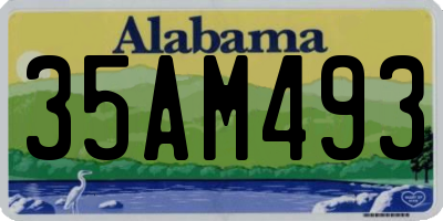 AL license plate 35AM493