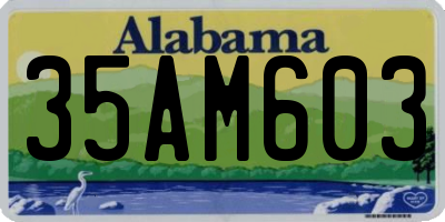 AL license plate 35AM603