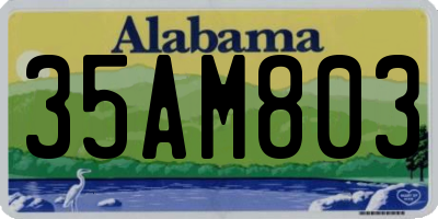 AL license plate 35AM803
