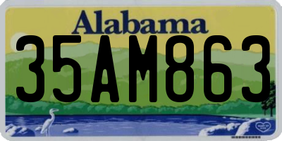 AL license plate 35AM863