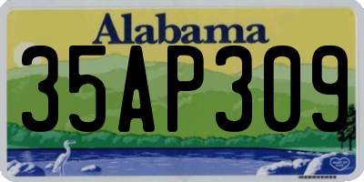 AL license plate 35AP309