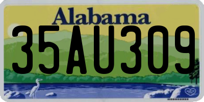 AL license plate 35AU309