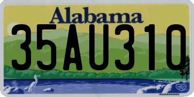 AL license plate 35AU310
