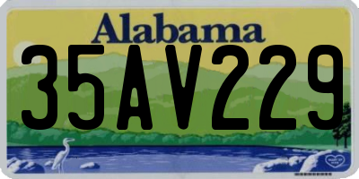 AL license plate 35AV229