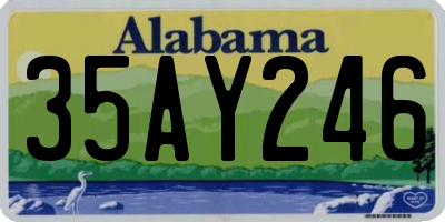 AL license plate 35AY246