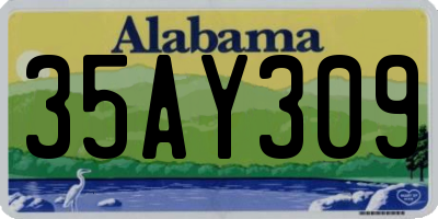 AL license plate 35AY309