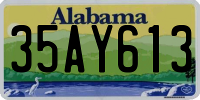 AL license plate 35AY613