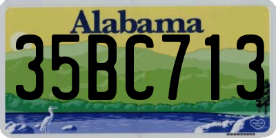 AL license plate 35BC713