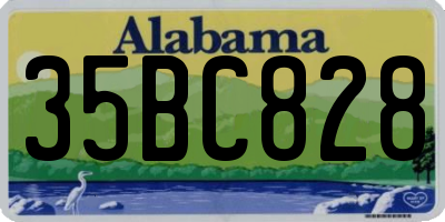 AL license plate 35BC828
