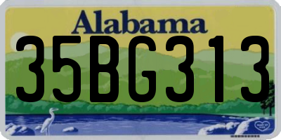 AL license plate 35BG313