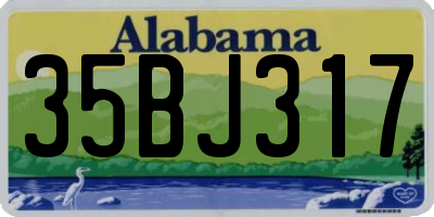 AL license plate 35BJ317