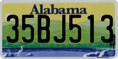 AL license plate 35BJ513