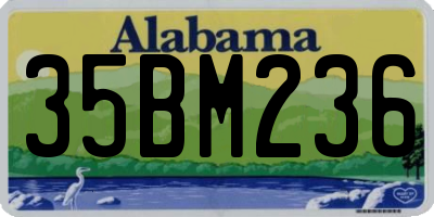 AL license plate 35BM236