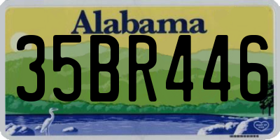 AL license plate 35BR446