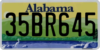 AL license plate 35BR645