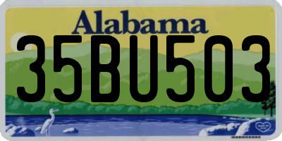 AL license plate 35BU503