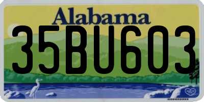 AL license plate 35BU603