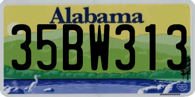AL license plate 35BW313