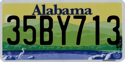 AL license plate 35BY713