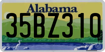 AL license plate 35BZ310