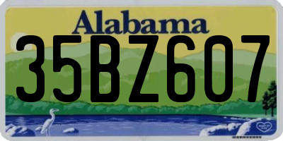 AL license plate 35BZ607
