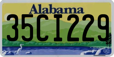 AL license plate 35CI229