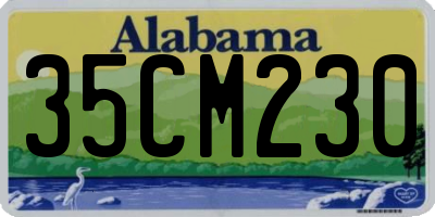 AL license plate 35CM230