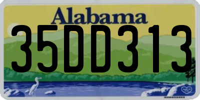 AL license plate 35DD313