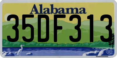 AL license plate 35DF313