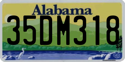 AL license plate 35DM318