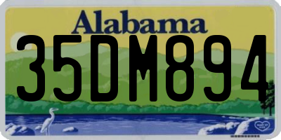 AL license plate 35DM894