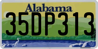 AL license plate 35DP313