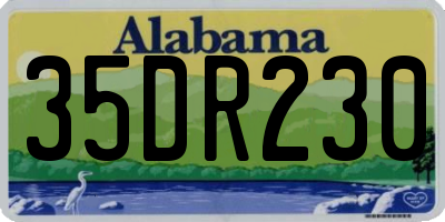 AL license plate 35DR230