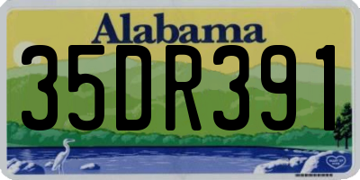 AL license plate 35DR391