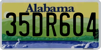 AL license plate 35DR604