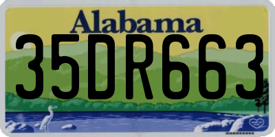 AL license plate 35DR663