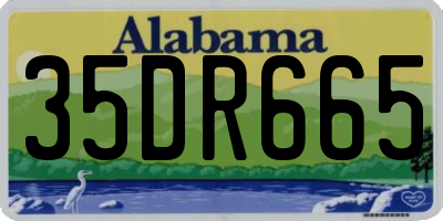 AL license plate 35DR665