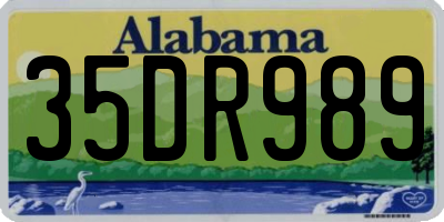 AL license plate 35DR989