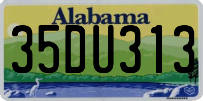 AL license plate 35DU313