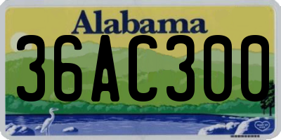 AL license plate 36AC300