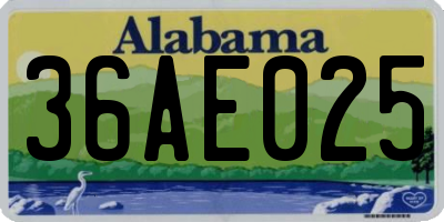 AL license plate 36AE025