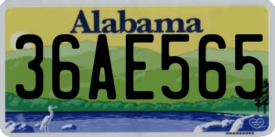 AL license plate 36AE565