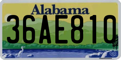 AL license plate 36AE810
